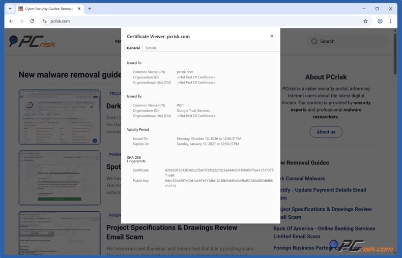 Chrome SSL certificate details