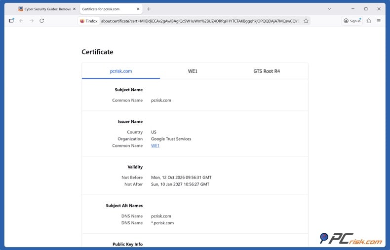 Firefox SSL certificate details