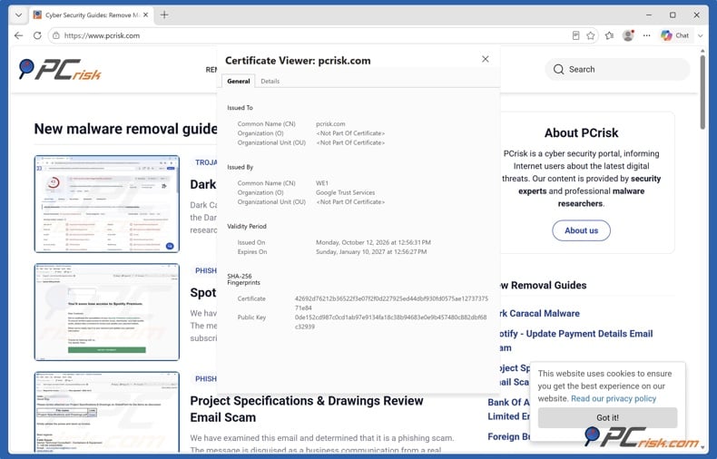 Microsoft Edge SSL certificate details