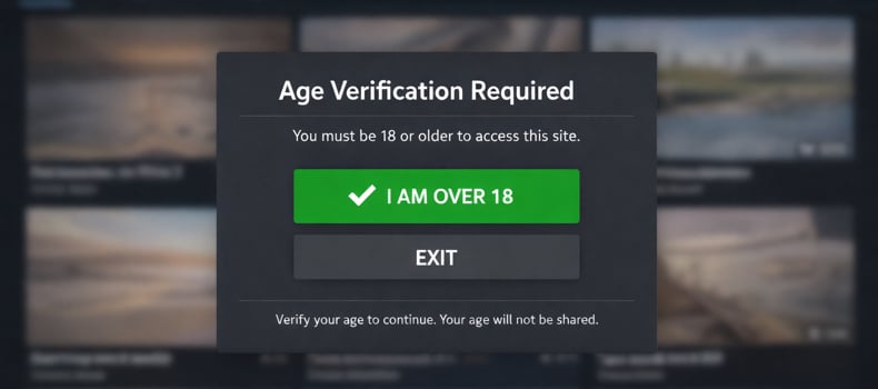 Bypass xHamster age verification in France using a VPN