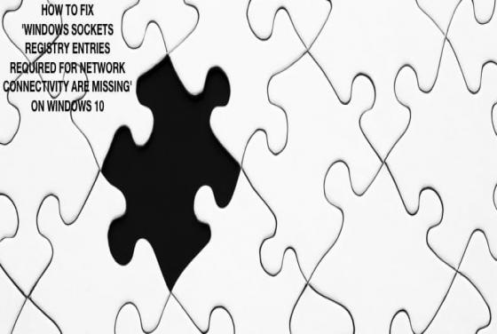 How to Fix 'Windows sockets registry entries required for network connectivity are missing' Problem?