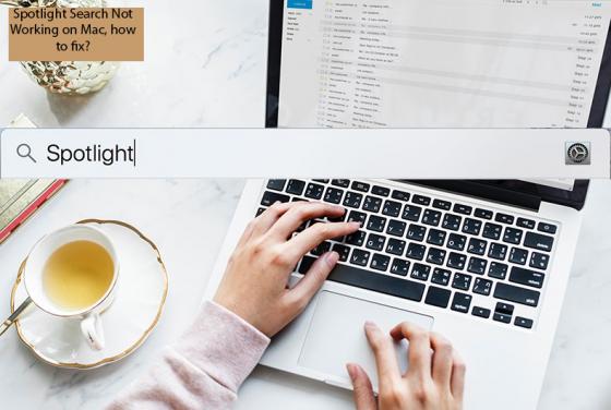 Spotlight Search Not Working on Mac, How to Fix?