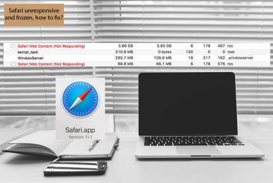 Safari Unresponsive/Frozen, How to Fix It?
