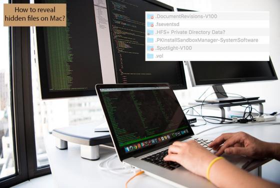 How to Reveal Hidden Files on Mac?