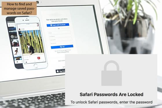 How to Find and Manage Saved Passwords on Safari?