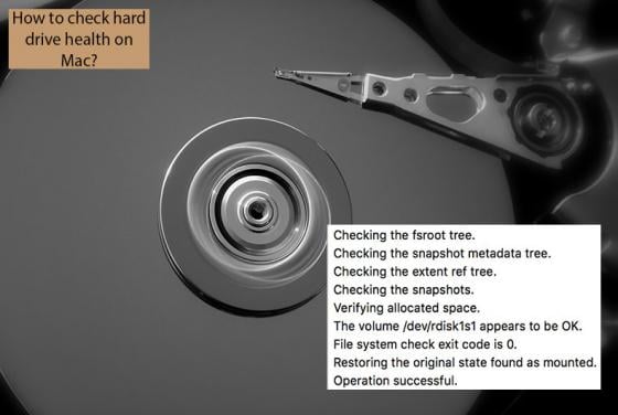 How to Check Hard Drive Health on Mac?