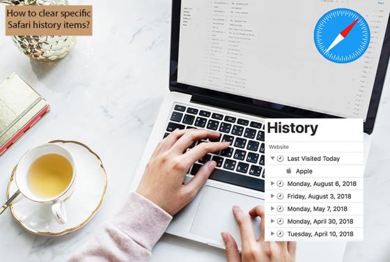 How to Clear Specific Safari History Items?