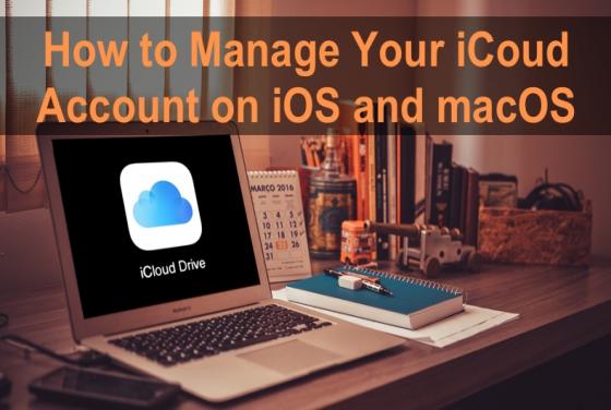 How to Manage iCloud on iOS and macOS?