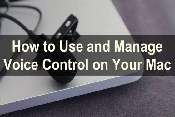 The Ultimate Guide on How to Use Voice Control on macOS