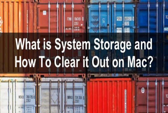 Can't Seem to Figure Out How to Clear Out System Storage on Your Mac? Here's How!