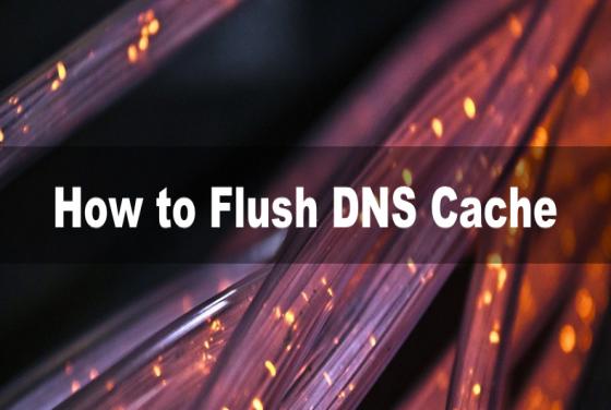 How to Flush DNS on Windows 11