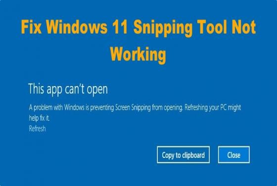 How to Fix Windows 11 Snipping Tool Not Working