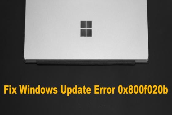 Fix Windows Update Error 0x800f020b on Windows 11