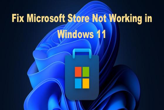How to Fix Microsoft Store Not Working in Windows 11