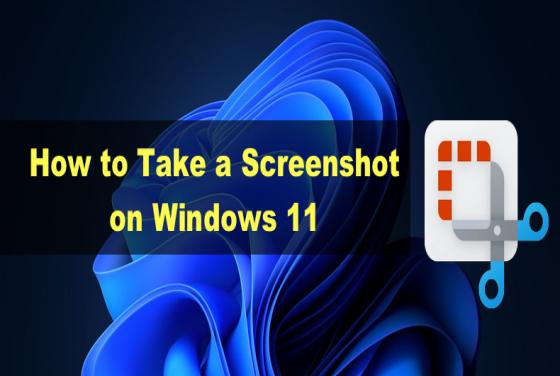 How to Take a Screenshot on Windows 11