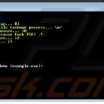 FireCrypt ransomware's executable (sample 2)