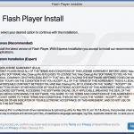 yourfine4updatesset[.]best fake flash installer 2