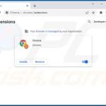 Malicious Google Chrome extension using managed by organization feature to prevent removal (fake Chrome extension)