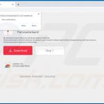 Website used to promote TheConverterSearch browser hijacker (Chrome) 2