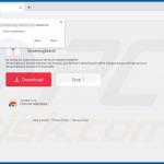 Website used to promote StreamingSearch browser hijacker (Chrome)