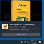 neehoose.com ads notification 3