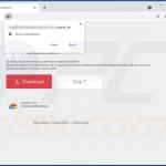 Website used to promote BestStreamSearch browser hijacker 1