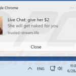 trusted-stream.life ads notification 2