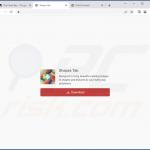 Website used to promote Shapes Tab browser hijacker 2
