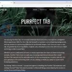 Website used to promote Purrfect Tab browser hijacker 1