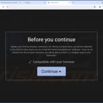 Deceptive site used to promote PrivateLoader malware 2