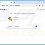 Malicious Google Chrome extension causing unwanted redirects to google.com (fake Chrome extension)