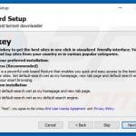 Delusive software installer promoting default-search.net
