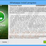 consumer input adware installer sample 10