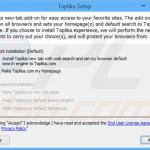 taplika.com browser hijacker installer sample 4