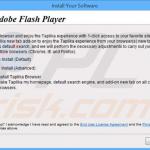 taplika.com browser hijacker installer sample 9