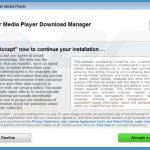 premieropinion adware installer