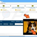 shopperz29072015 coupon ads