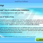 cyti web adware installer