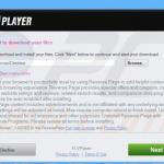 reverse page adware installer sample 2