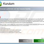 binkiland.com browser hijacker installer sample 2