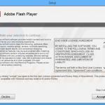 Round World adware installer