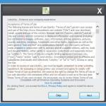 loleykey adware installer sample 4