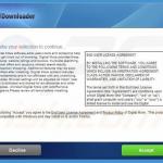 Digital More adware installer