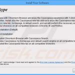 cassiopesa.com browser hijacker installer sample 2