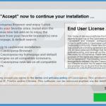 cassiopesa.com browser hijacker installer sample 3