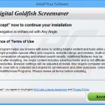 any angle adware installer sample 2