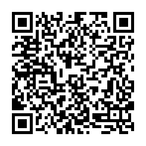 1inch Airdrop crypto drainer QR code