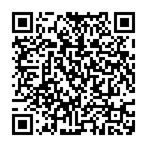 1inch Reward crypto drainer QR code