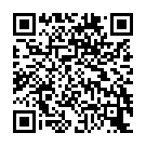 StormVade Virus QR code