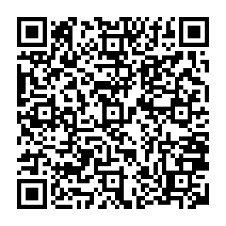 All Nippon Airways Raffle Draw phishing scam QR code